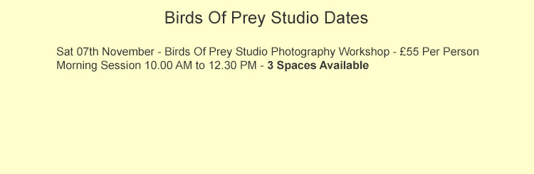 Harvest Birds Of Prey Photo Workshops Dates